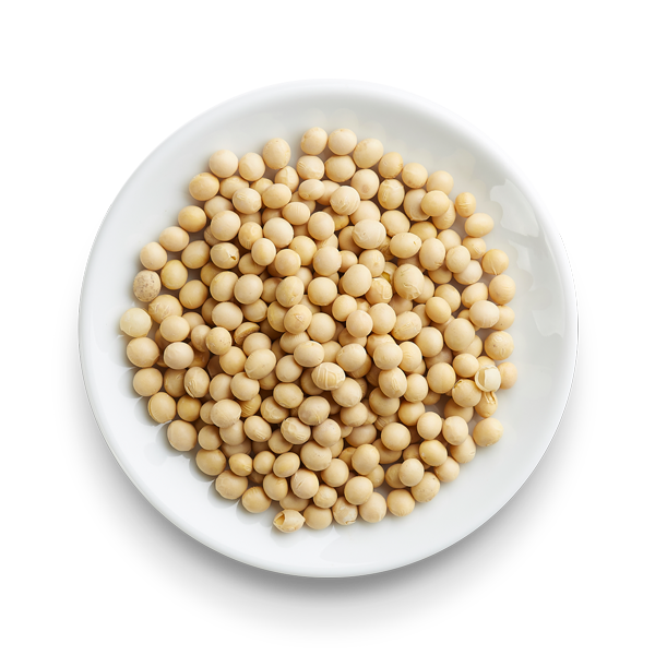 Soybean Transparent Image