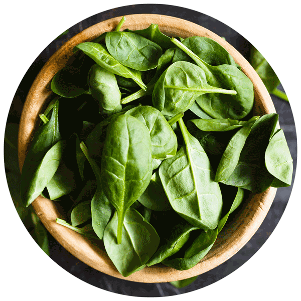 Spinach Background PNG Image