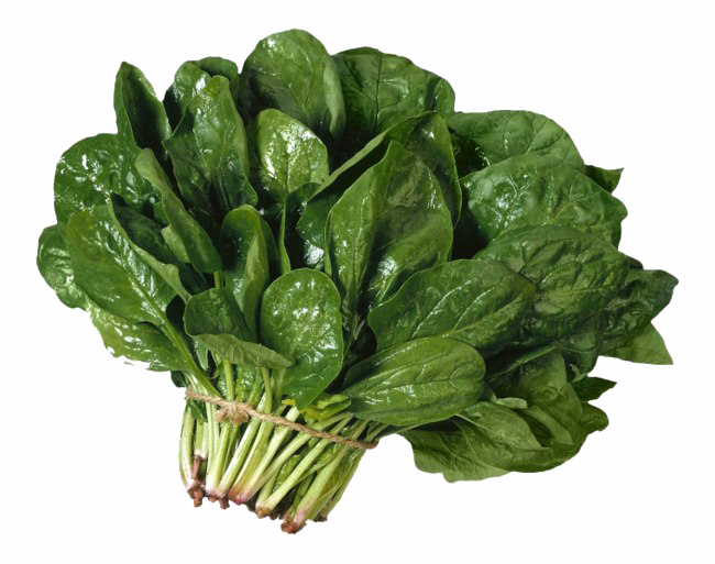 Spinach Download Free PNG
