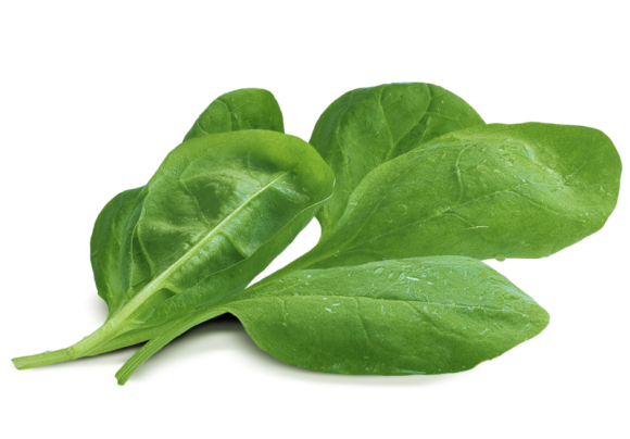 Spinach No Background