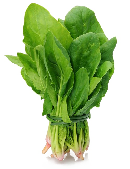 Spinach PNG Background