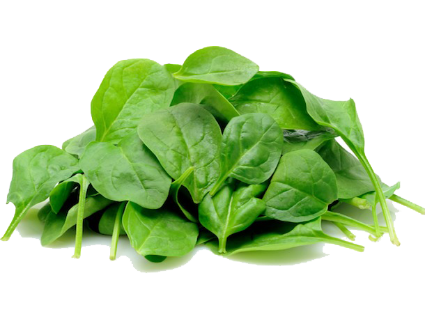 Spinach PNG Free File Download