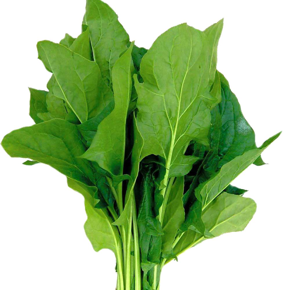 Spinach PNG HD Quality