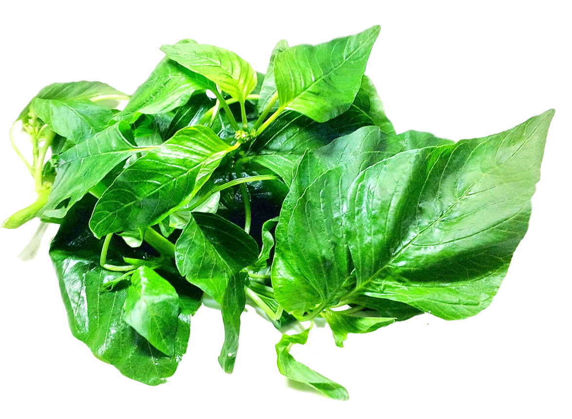 Spinach Transparent Free PNG