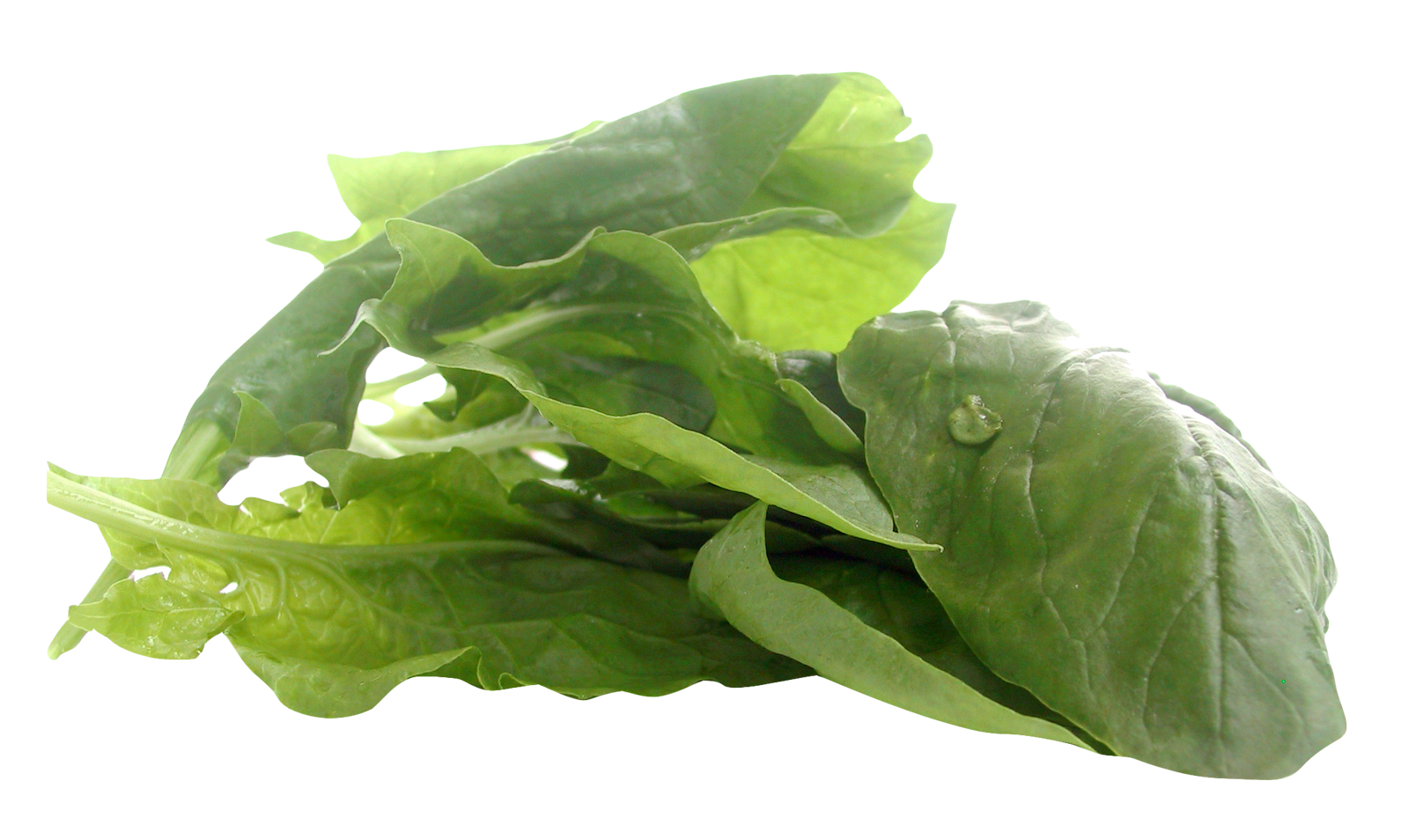 Spinach Transparent Image