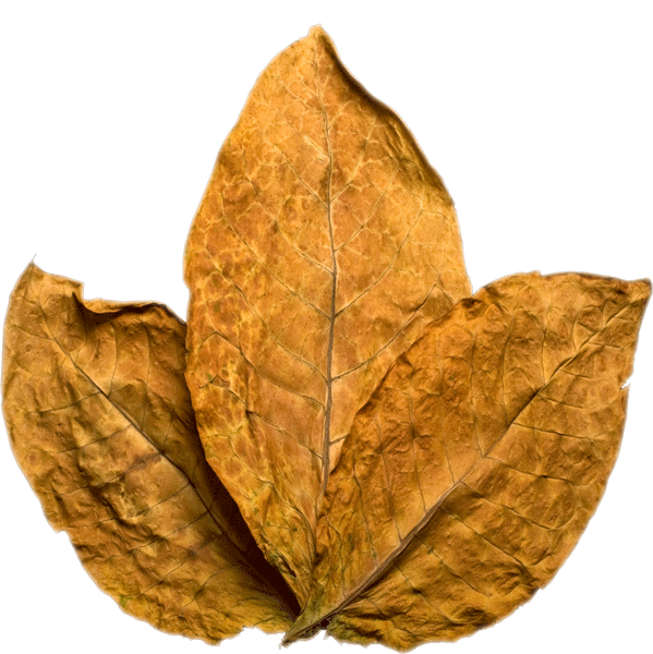 Tobacco PNG Pic Background