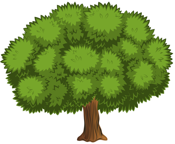 Дерево Скачать бесплатно PNG