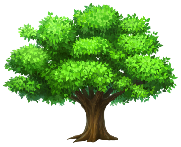 Дерево бесплатно PNG