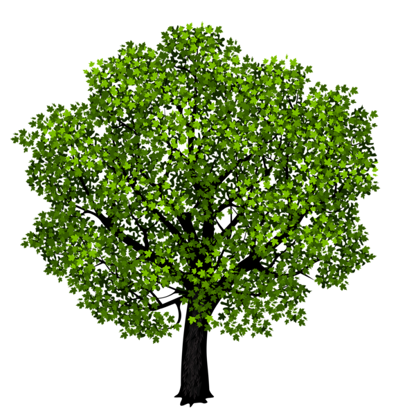 Tree PNG Clipart Background