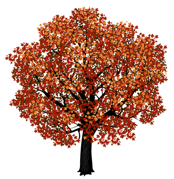 Tree PNG Images HD