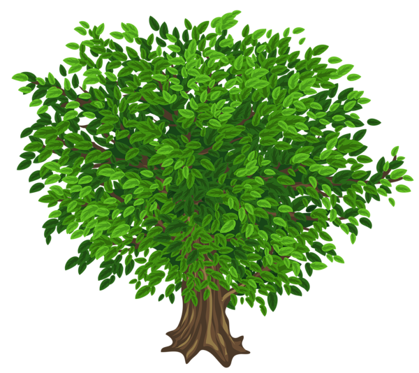 Дерево прозрачное бесплатно PNG