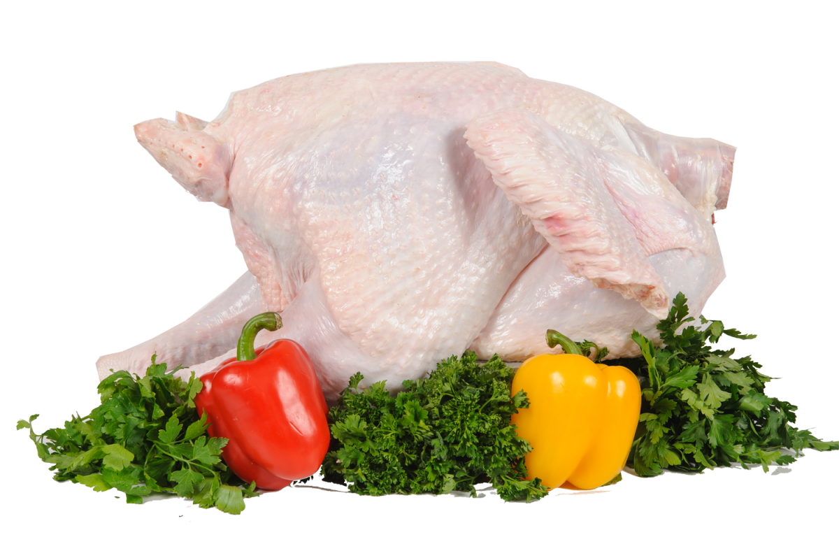 Turkey PNG Images HD