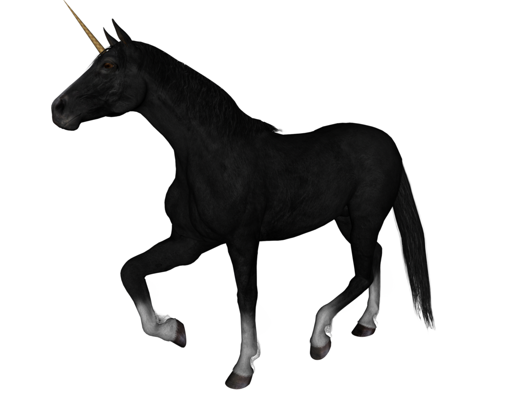 Unicorn PNG Pic Background
