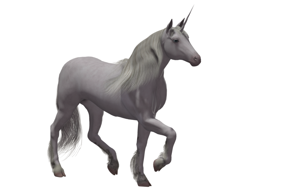unicorn صورة شفافة