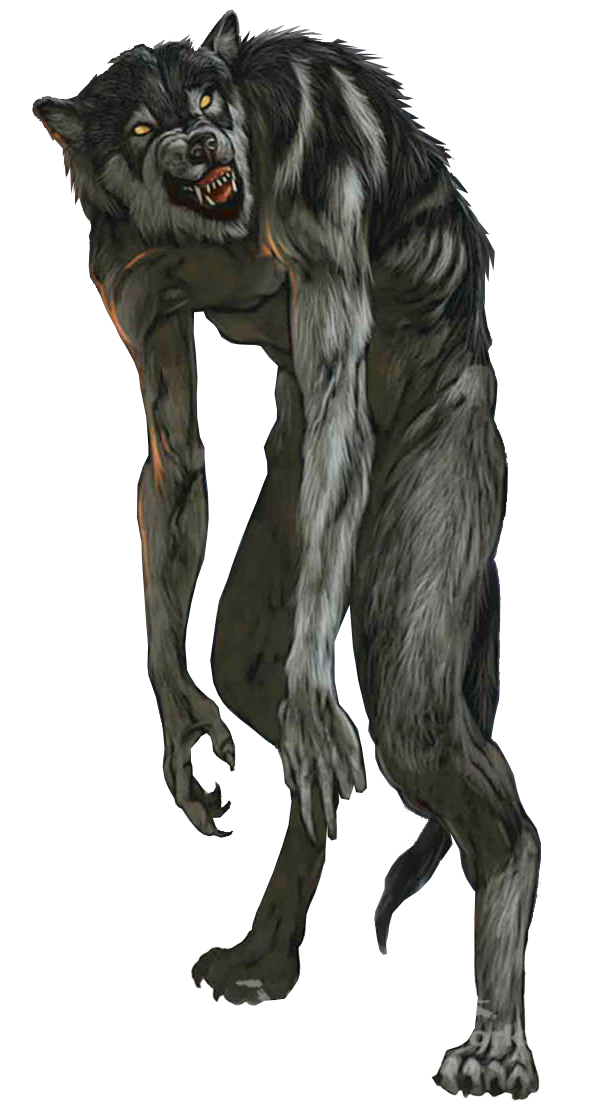 Werewolf Transparent Image