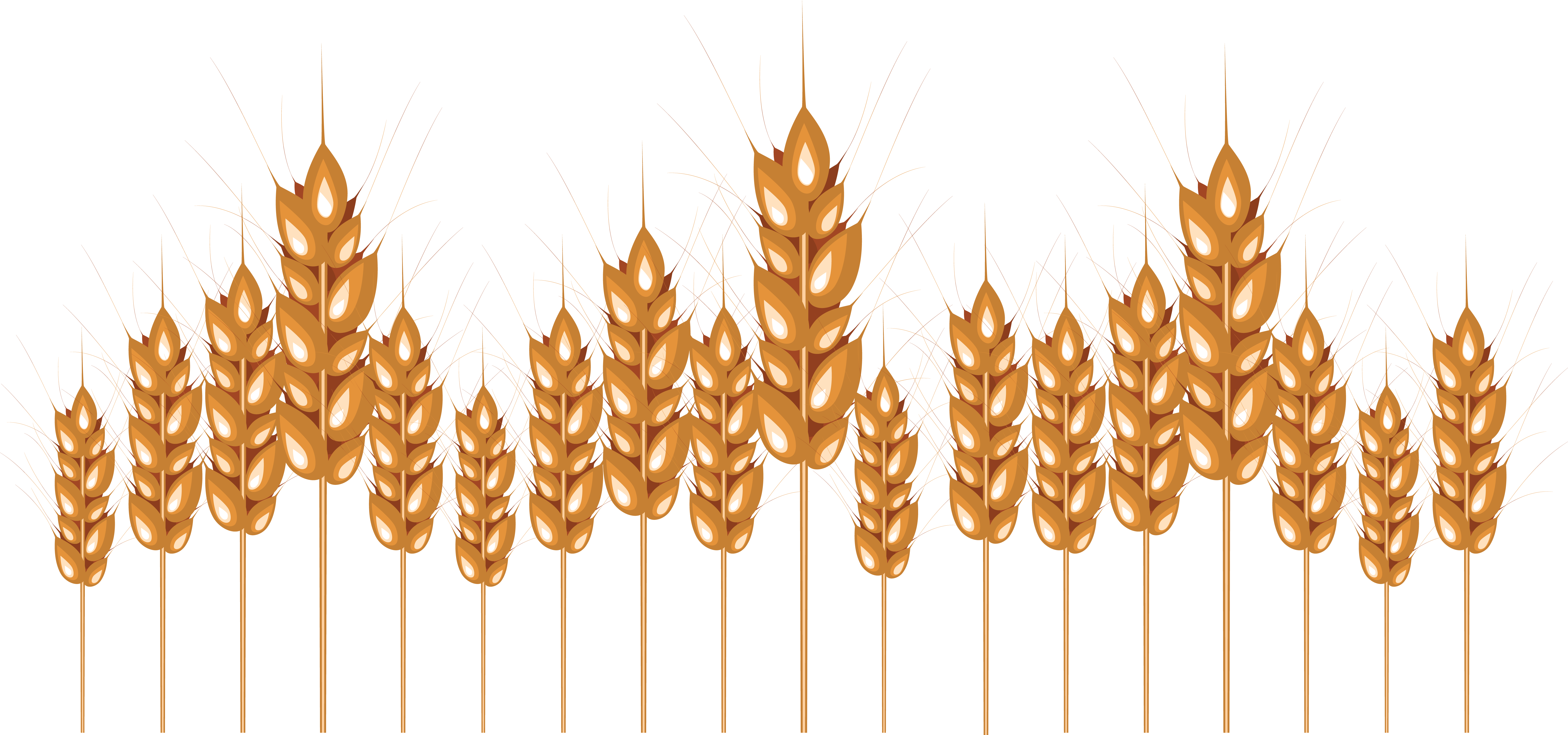 Wheat Free PNG