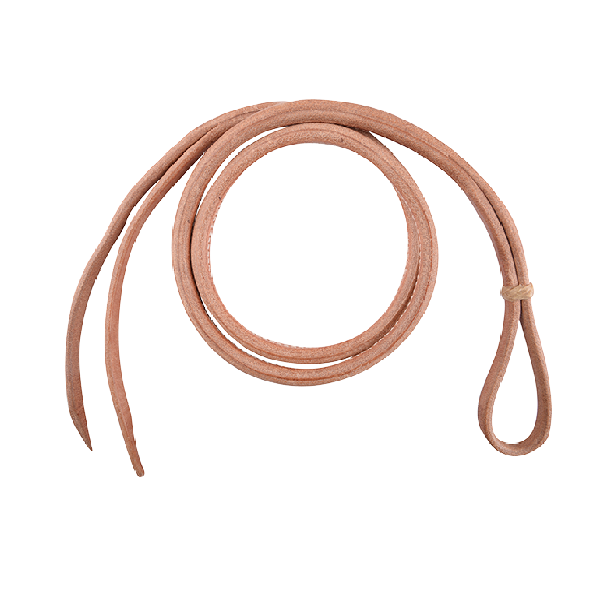 Whip Download Free PNG