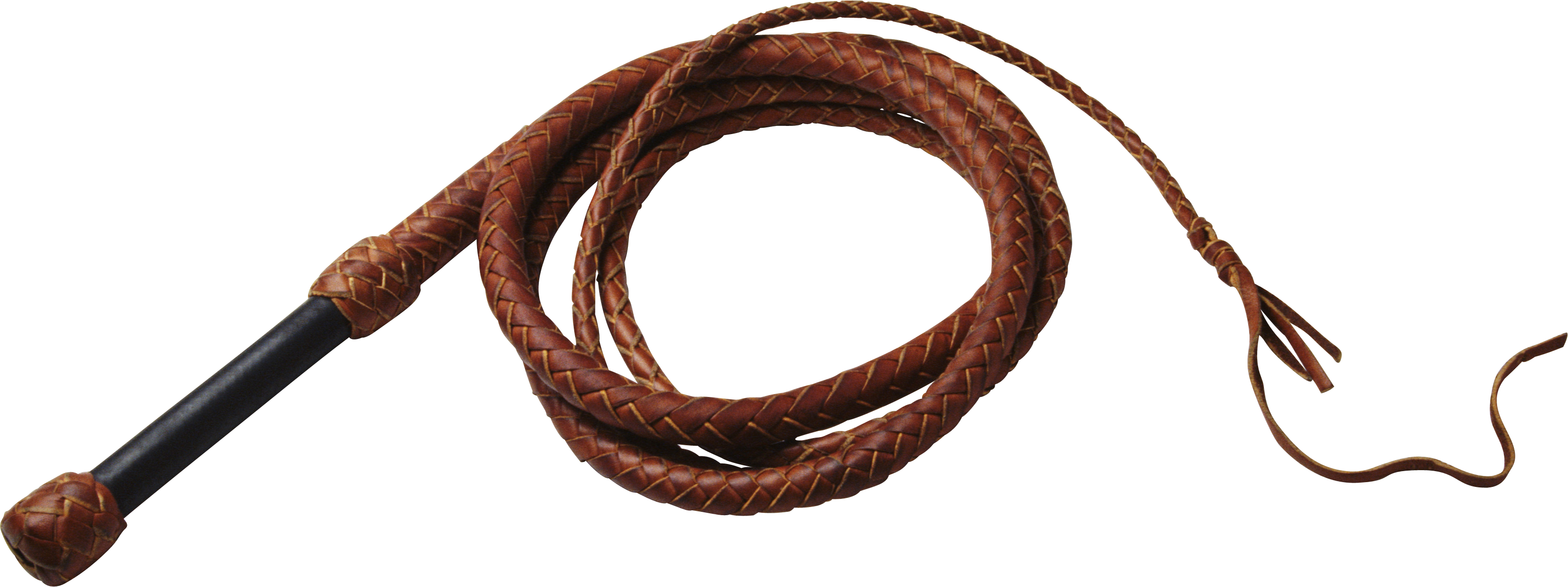 Whip PNG Free File Download