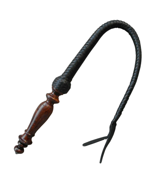 Whip PNG HD Quality