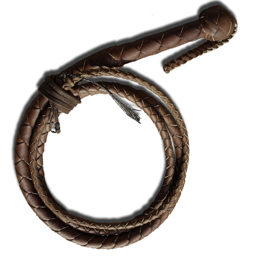 Whip PNG Photo Image