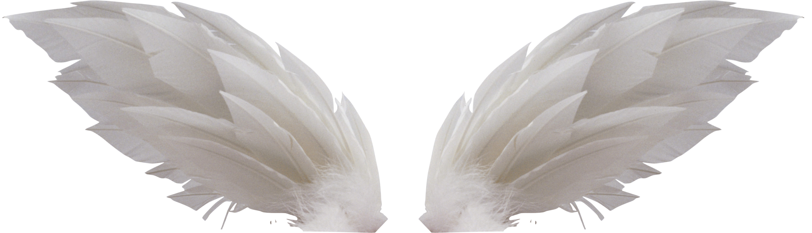 Wings Background PNG Image