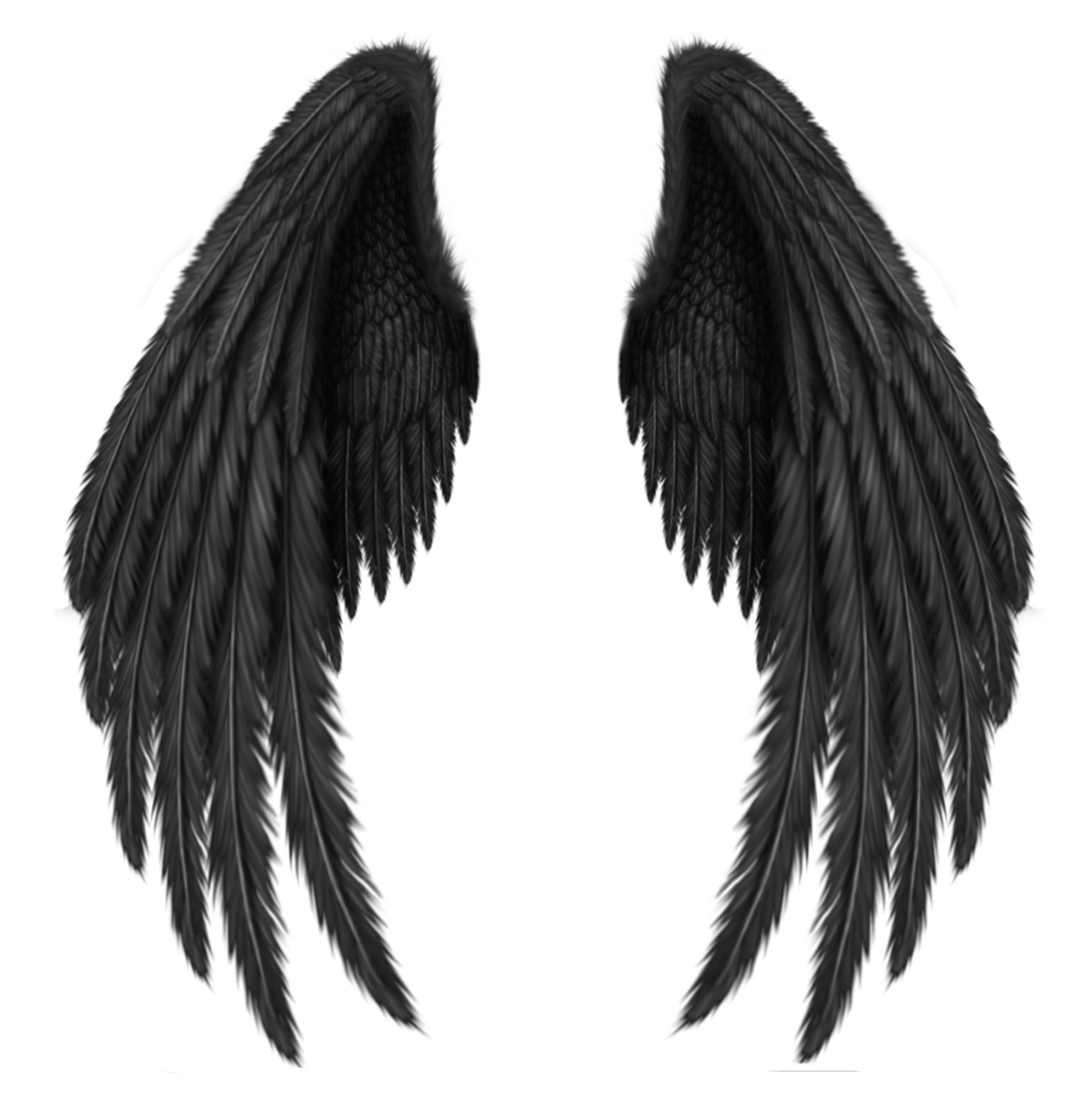 Wings Download Free PNG