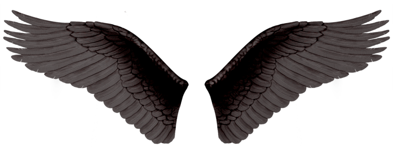 Wings PNG Background