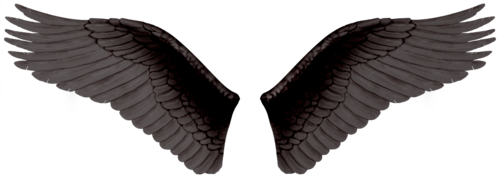 Wings PNG Clipart Background