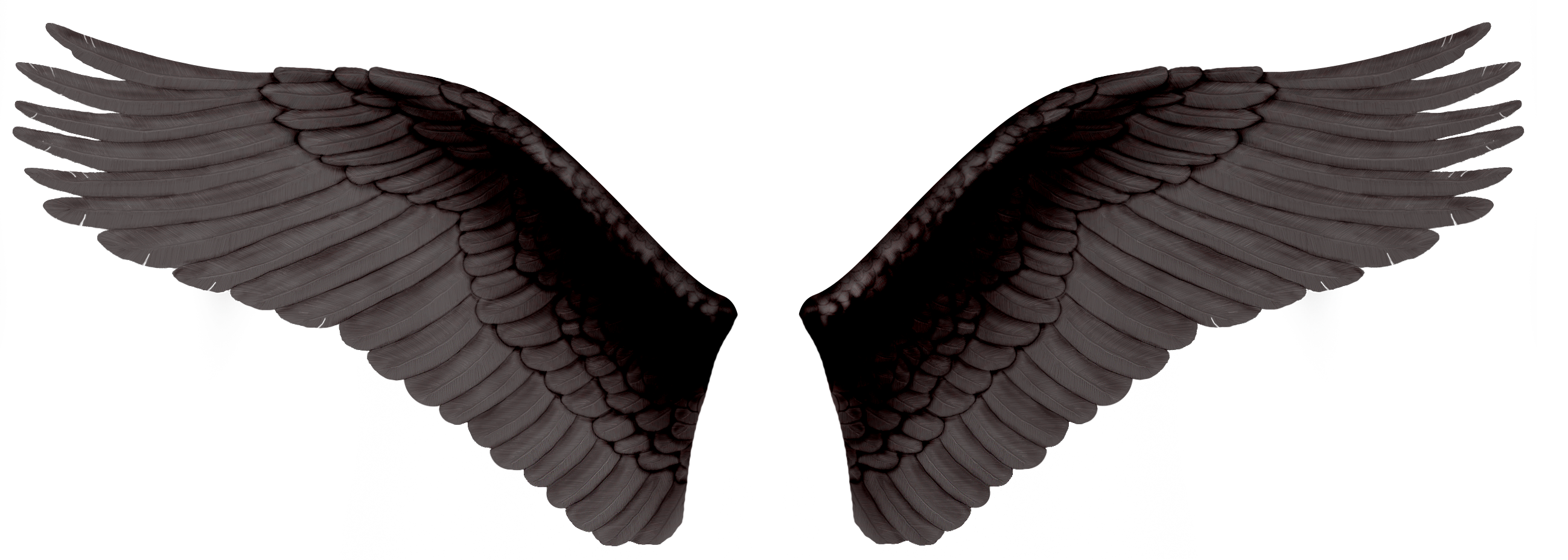Wings PNG HD Quality
