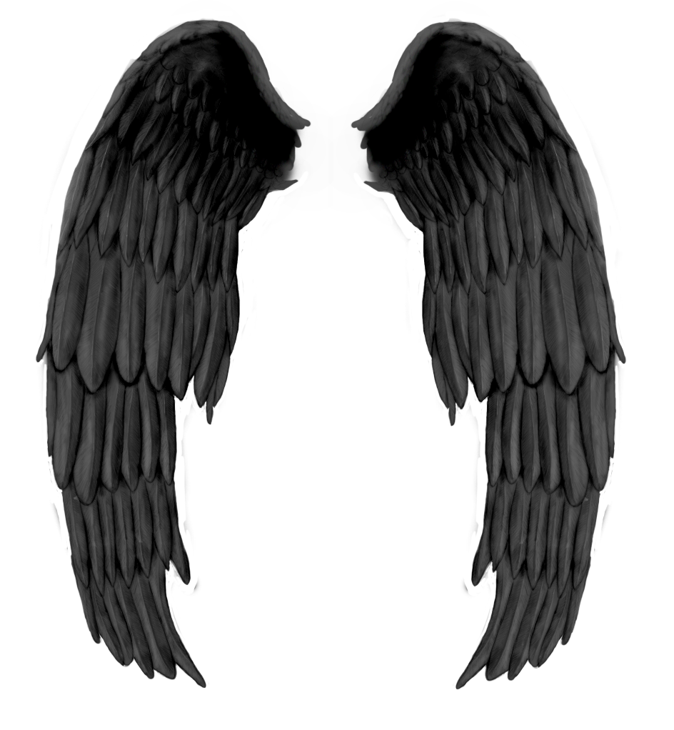 Wings PNG Images HD