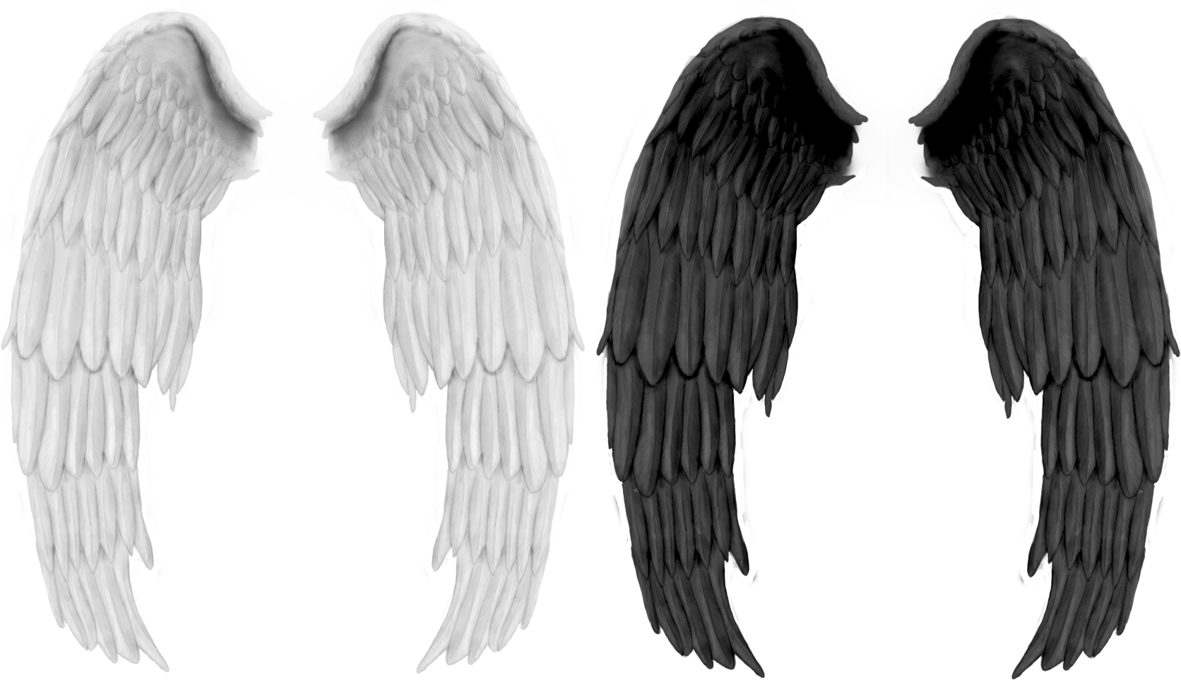 Wings PNG Photo Image
