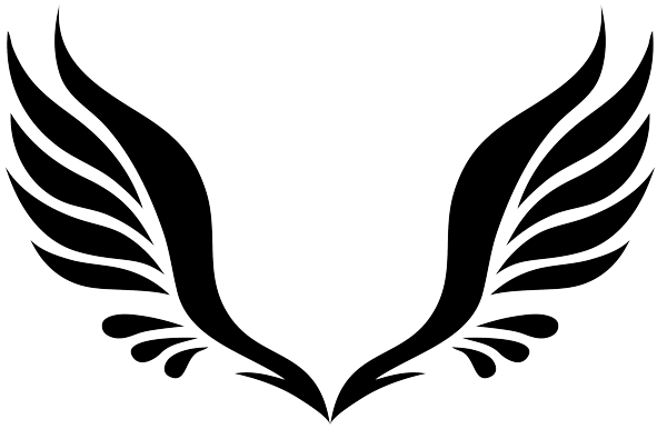 Wings PNG Photos