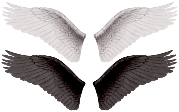 Wings Transparent Background