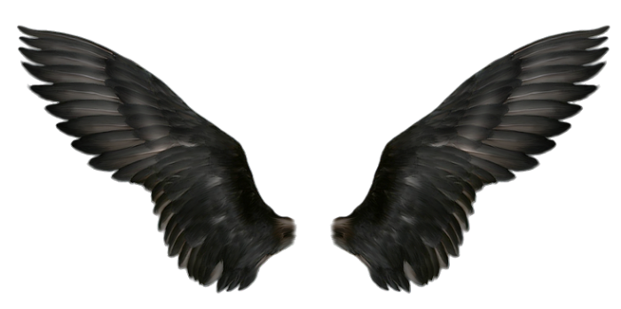 Wings Transparent Image