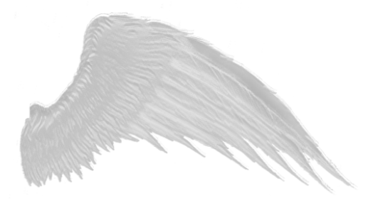 Wings Transparent Images