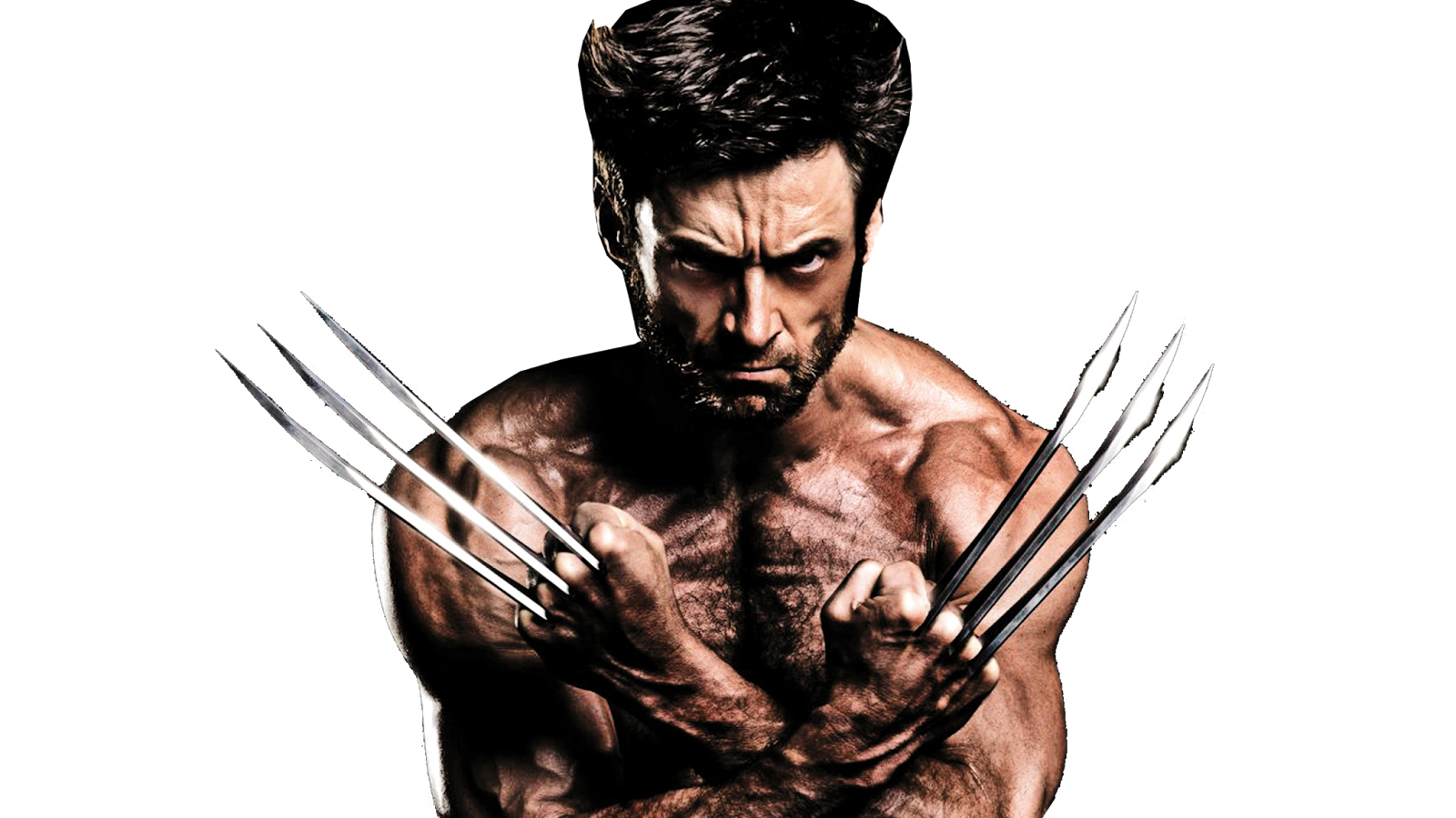 Wolverine PNG Photos