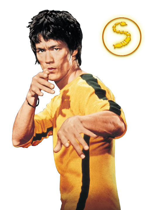 Bruce Lee PNG Free File Download