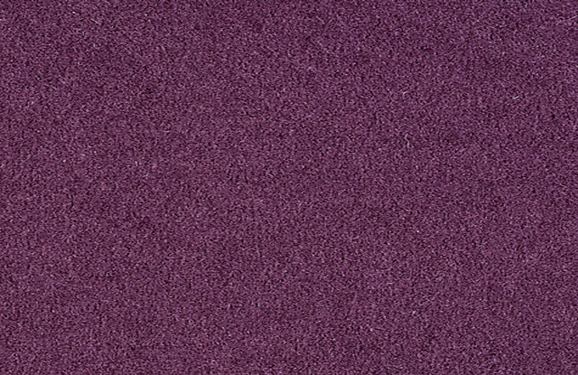 Carpet No Background