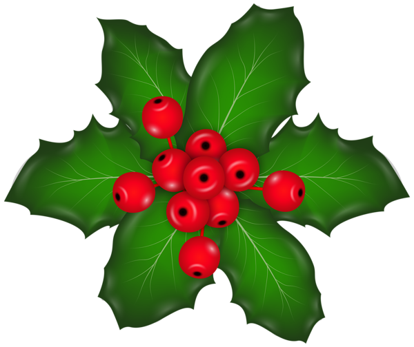 Christmas Mistletoe PNG
