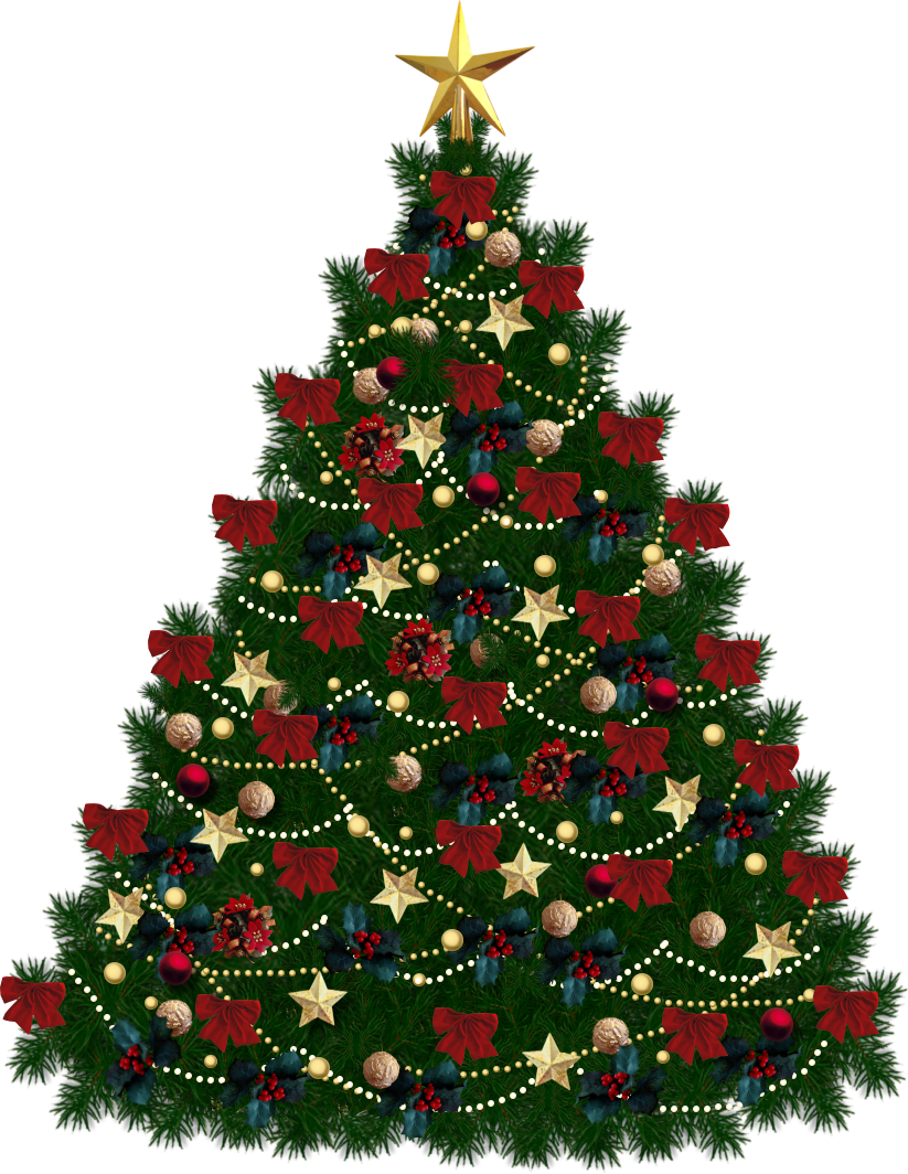 Decorated Christmas Tree Lights PNG