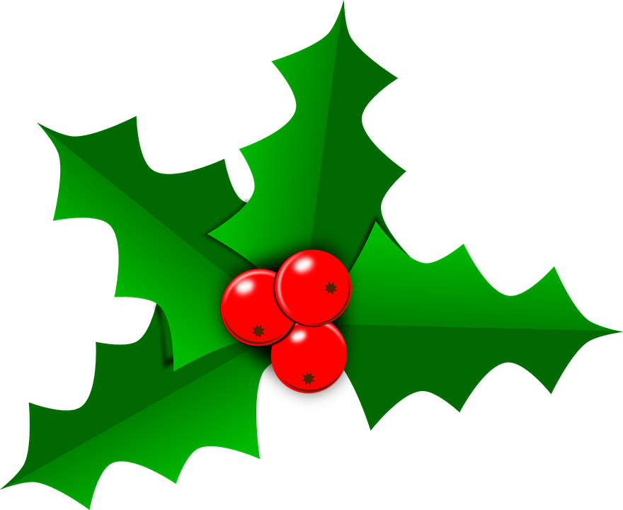 Holly Christmas Red Berry Clipart PNG