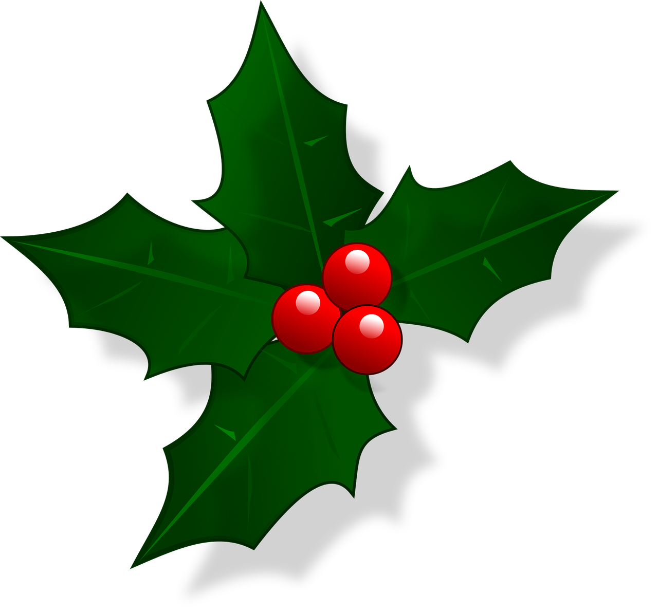 Holly noël berry rouge PNG