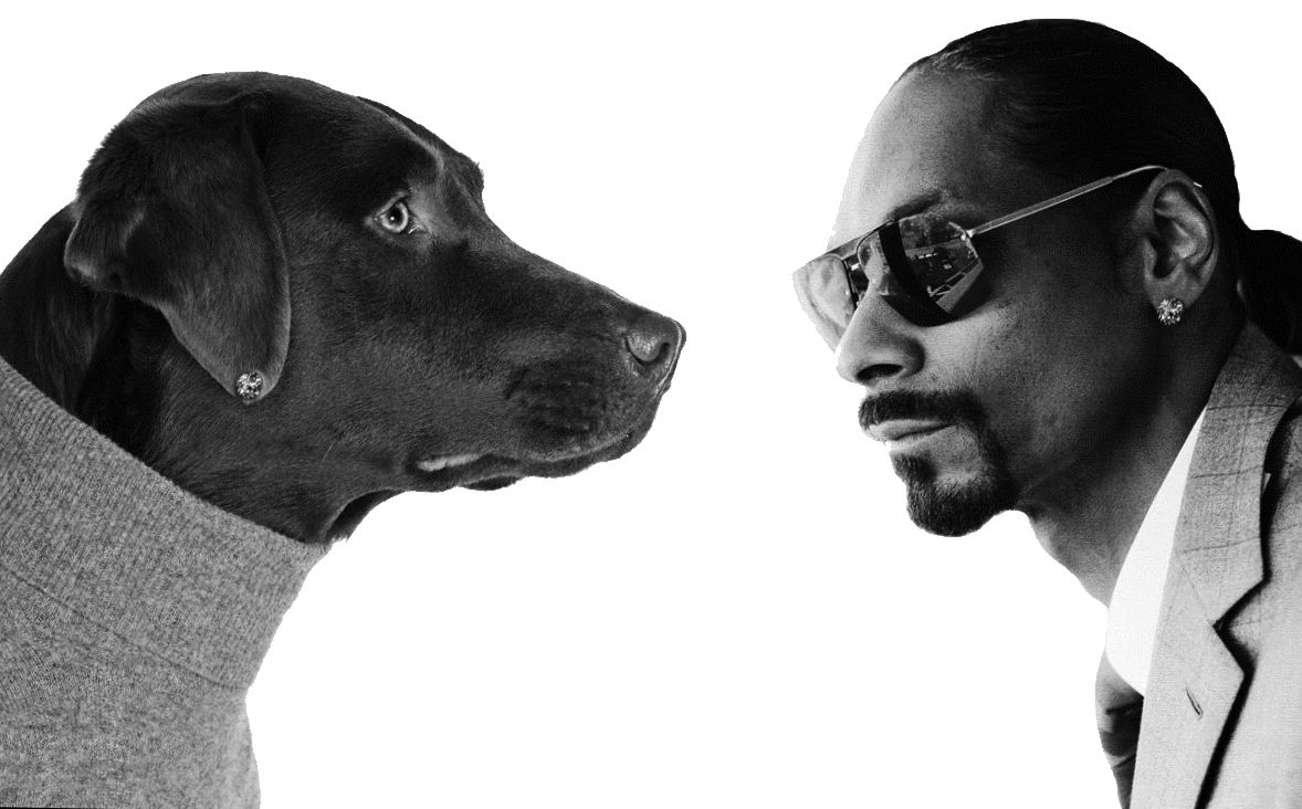 Snoop Dogg Transparent PNG