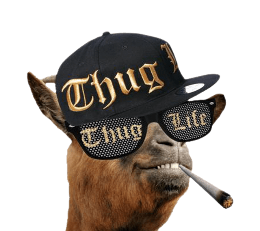 Thug Life Glasses PNG Clipart Background