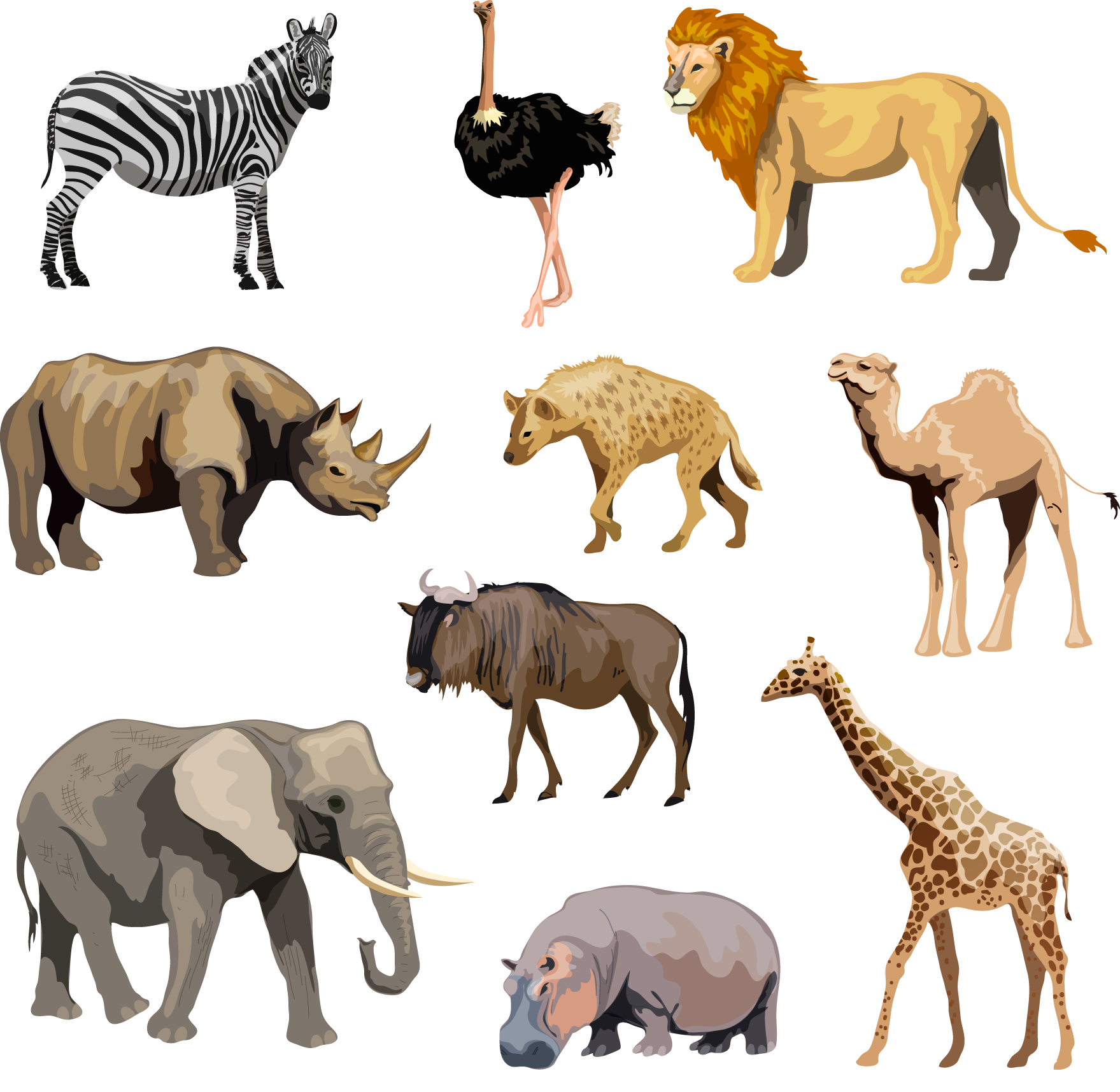 Africa Animals PNG Images Transparent Background | PNG Play