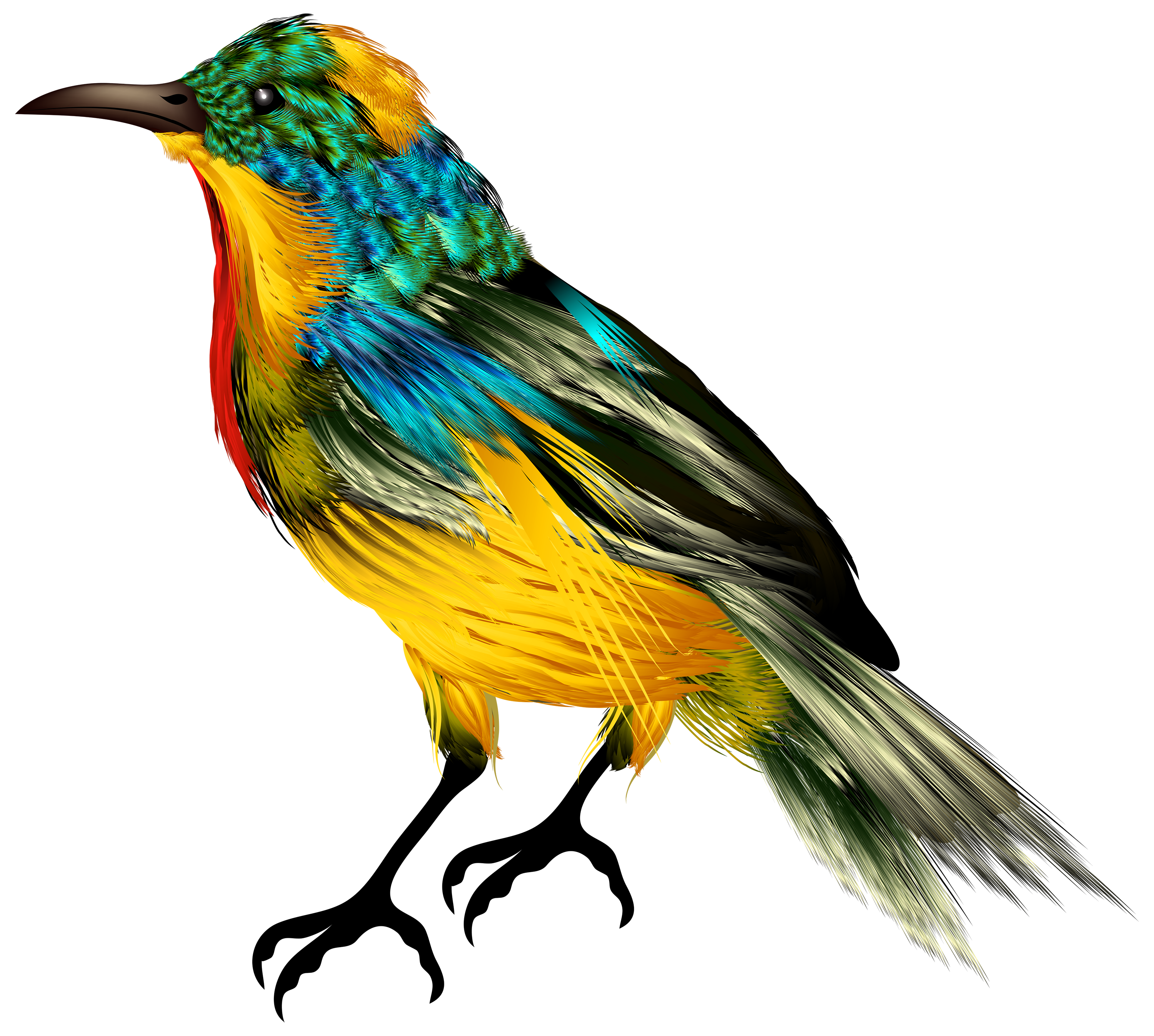 Afrikanischer Vogel transparenter Hintergrund