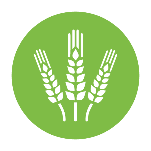 Agriculture Green Icon PNG