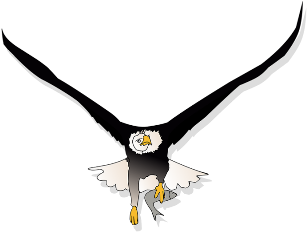 American Eagle Transparent PNG