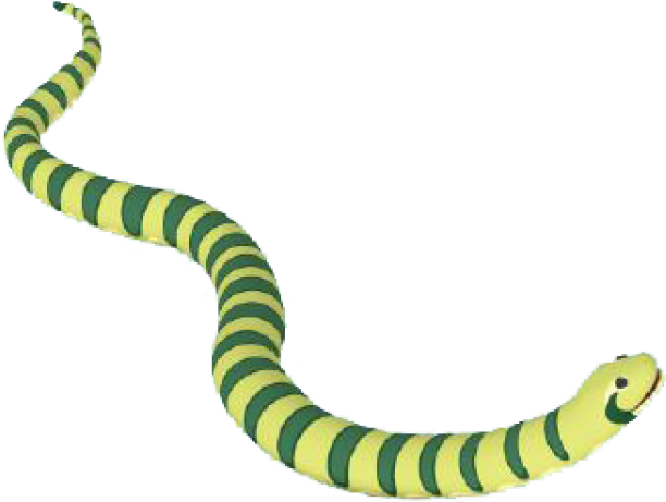 Anaconda Big Tail PNG