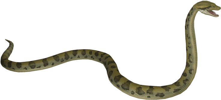 Anaconda Dark Black Snake PNG